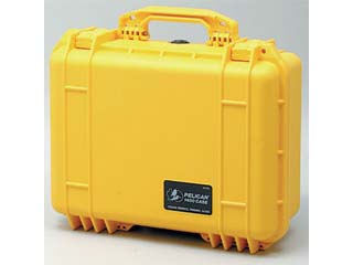 �y�����z1450-YL�i�C�G���[�j�@�@�@�ɂ��Ă̊��z�E�]���E���R�~�i�N�`�R�~�j�����L�����������B
