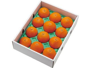 QY g܂ǂ(3kg)