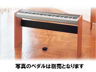 CASIO PX-100スタンドセット 【送料代引き手数料無料の安心価格】 ※お 