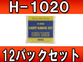 �G���L�M�^�[���Z�b�g H-1020 �i���C�g�Q�[�W�j12�p�b�N�Z�b�g�ɂ��Ă̊��z�E�]���E���R�~�i�N�`�R�~�j�����L�����������B