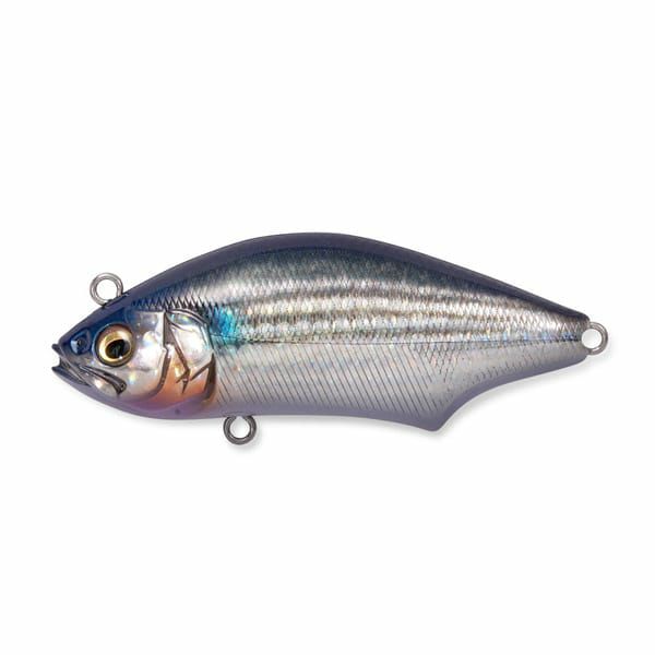 ハダラトラップ」の人気商品一覧 | 安い商品を通販サイトから探す