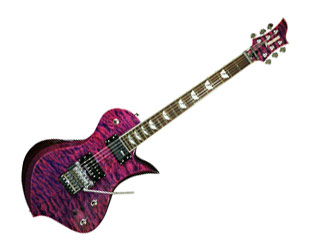 FERNANDES / フェルナンデス 【納期未定】RAVELLE ELT STP(シースルー