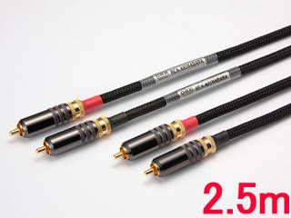 RCA-AKIHABARA CP[u(2.5m)ɂĂ̊zE]ER~iN`R~jLB