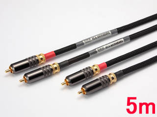 RCA-AKIHABARA CP[u(5m)ɂĂ̊zE]ER~iN`R~jLB