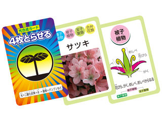 植物のなかま カード図鑑 アーテック カードゲーム 知育 親勉 母勉