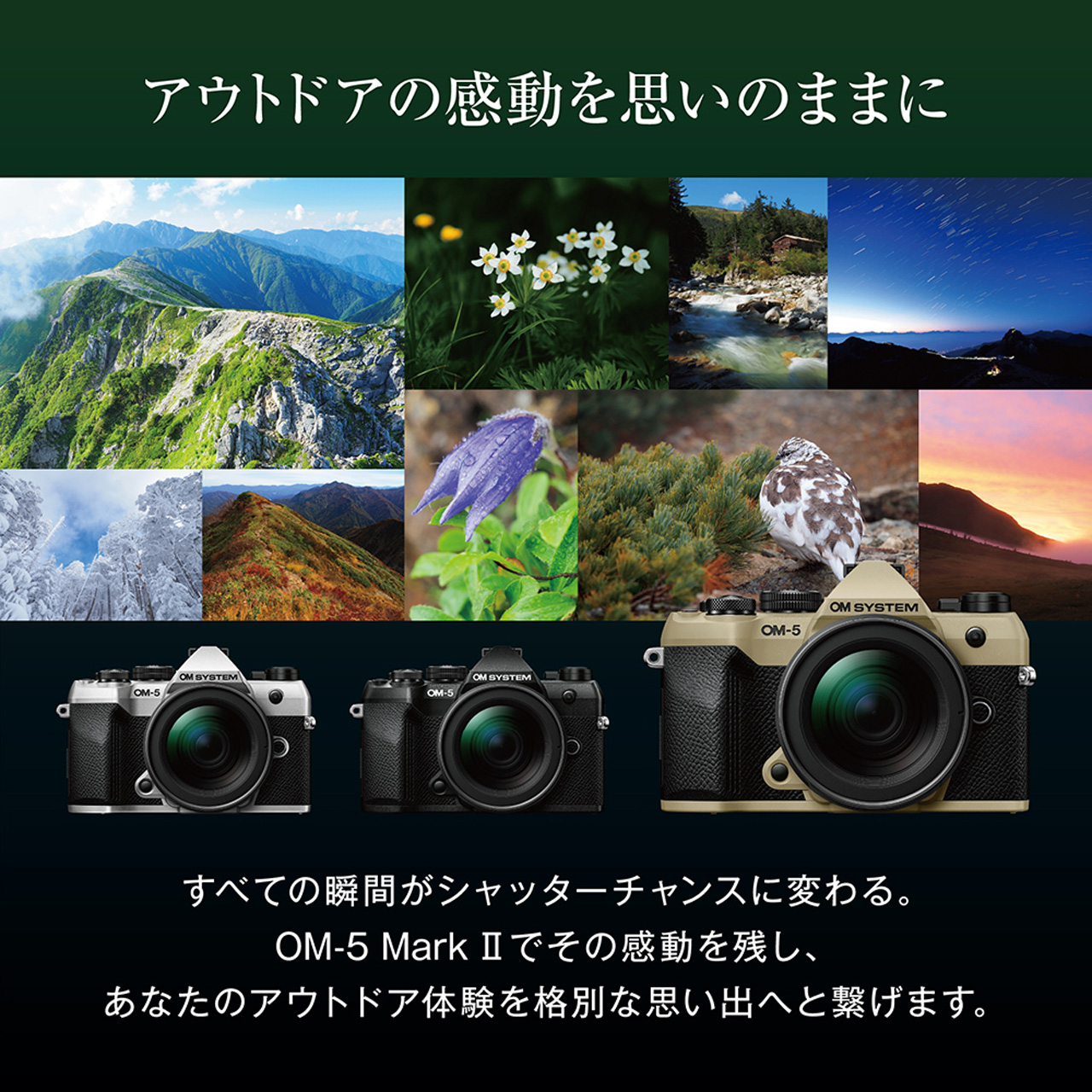 OM SYSTEM オーエムシステム OM-5 Mark II 12-45mm F4.0 PROレンズ