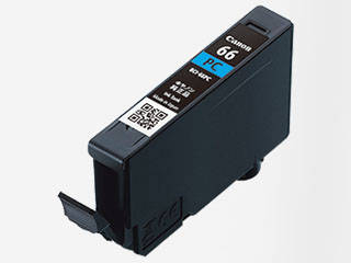 PRO-S1pCN^N BCI-66PC tHgVA