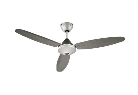 WF506P1@V[Ot@(i}bgVo[FA_[NVo[F) Rt