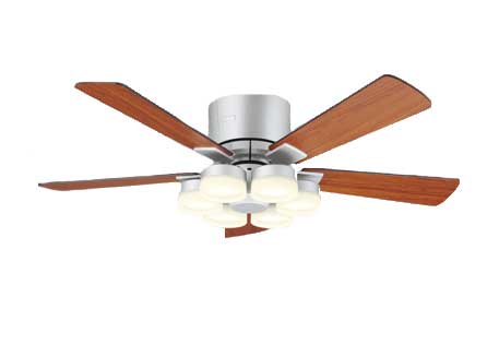 WF442PR@V[Ot@ ؍ރo[Vu(`F[F/G{j[uEF)`10p