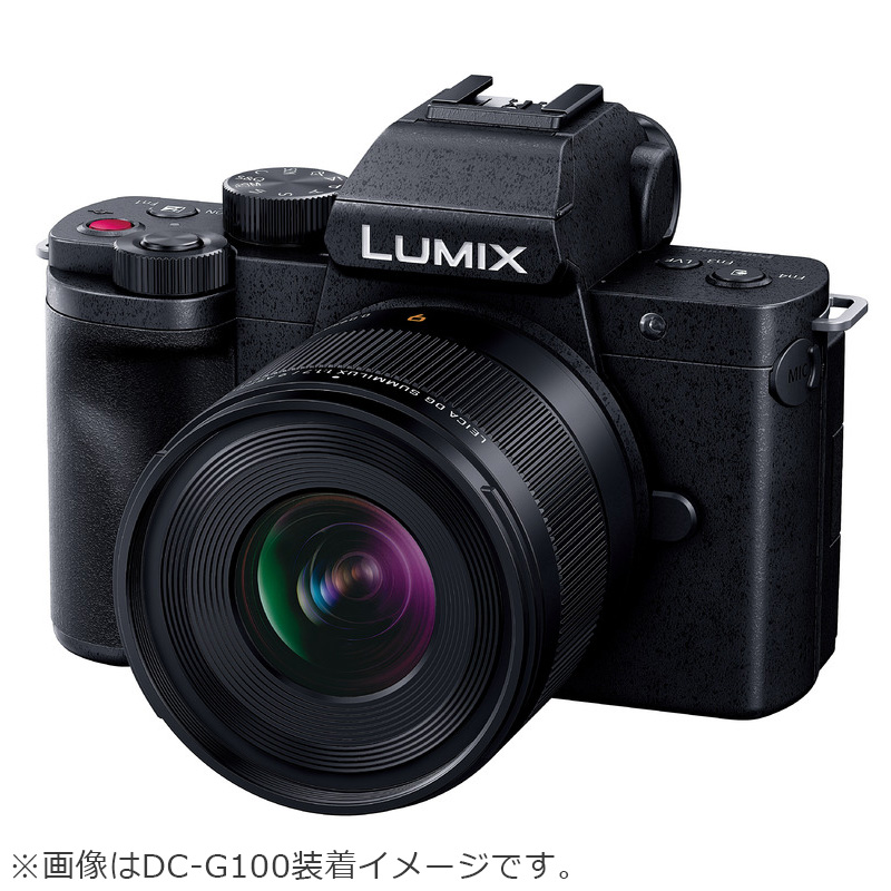 Panasonic パナソニック H-X09 デジタル一眼カメラ用交換レンズ LEICA