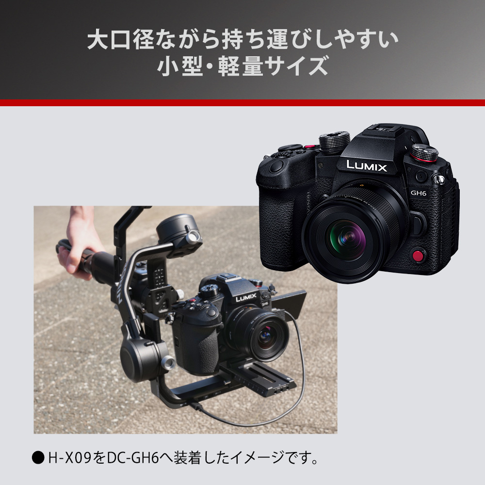 Panasonic パナソニック H-X09 デジタル一眼カメラ用交換レンズ LEICA