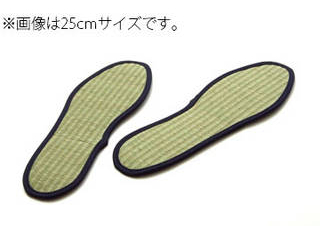 C\[@Y@L@R  C\[  lCr[ 29cm 3654649ɂĂ̊zE]ER~iN`R~jLB