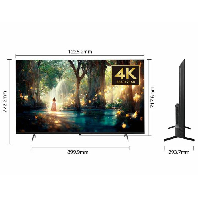 ORION オリオン OSR55G10 55V型 4K対応 スマートテレビ - ムラウチ