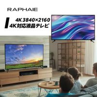DOSHISHA ドウシシャ RL50RD02 50V型 4K 液晶テレビ RAPHAIE 