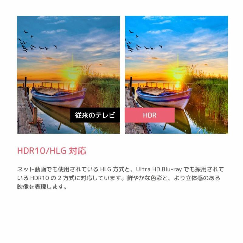 ORION オリオン OLS50RD10C 50V型 4K対応 GoogleTV搭載 スマートテレビ 
