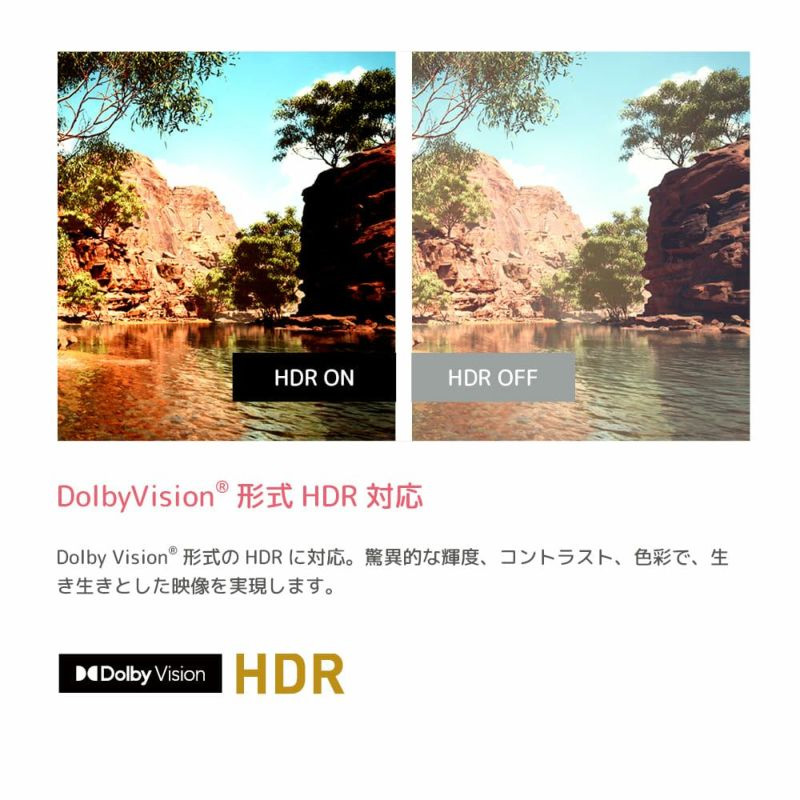 新品 ORION 50型 4K OLS50RD10 Google TV ORION オリオン OLS50RD10