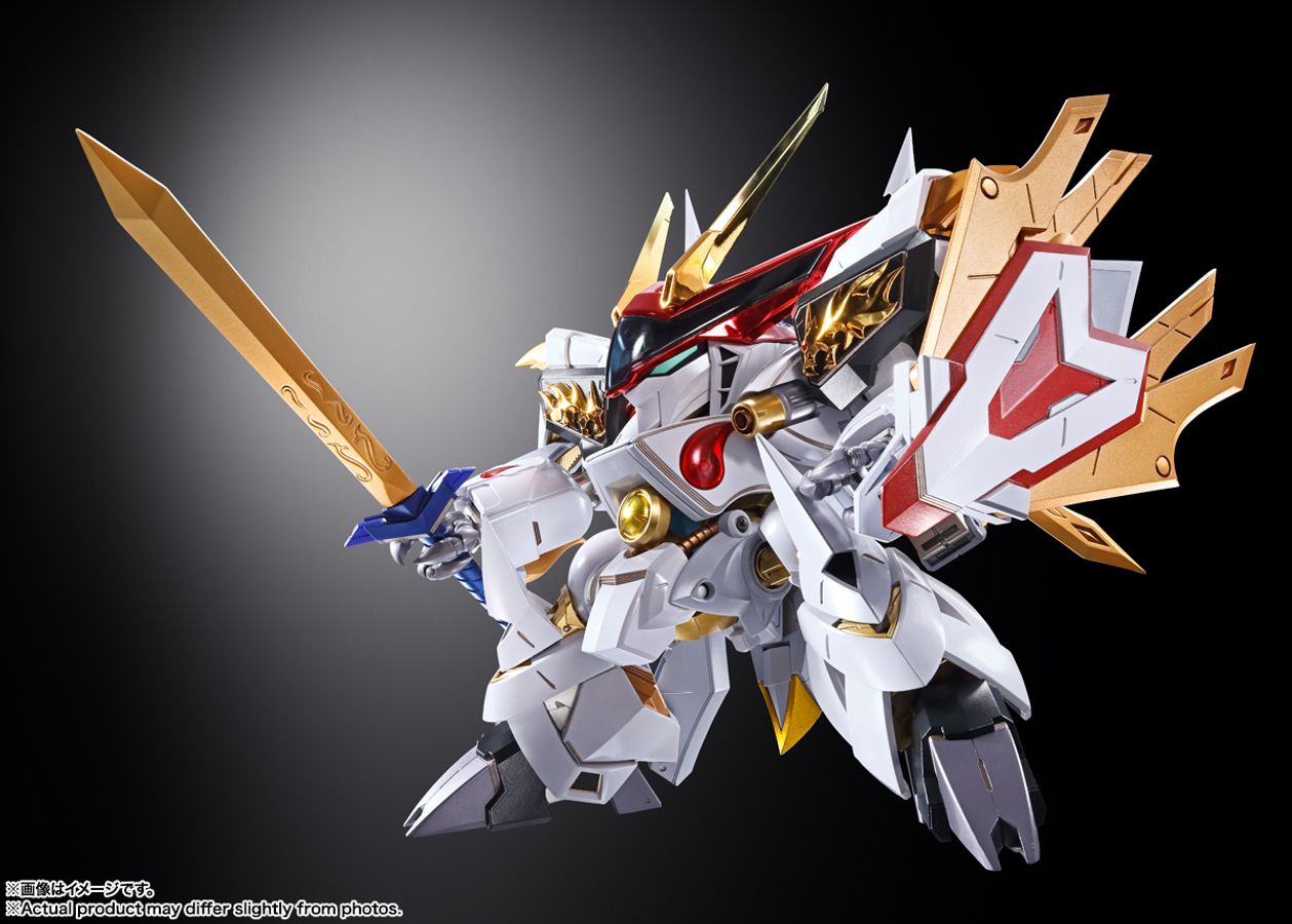 数量限定 METAL BUILD DRAGON SCALE 龍王丸