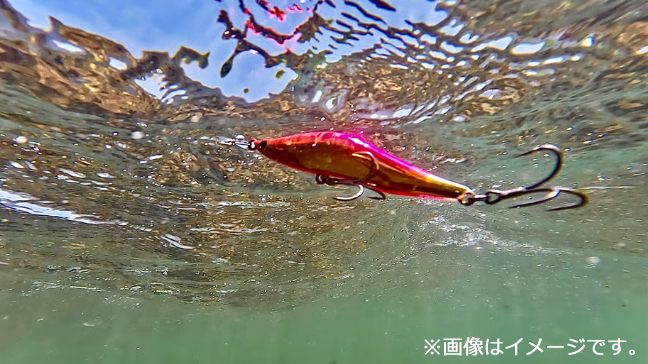イザベル FXB】67サビア＆79サビオ – Fish.IN | Outdoor / Fishing