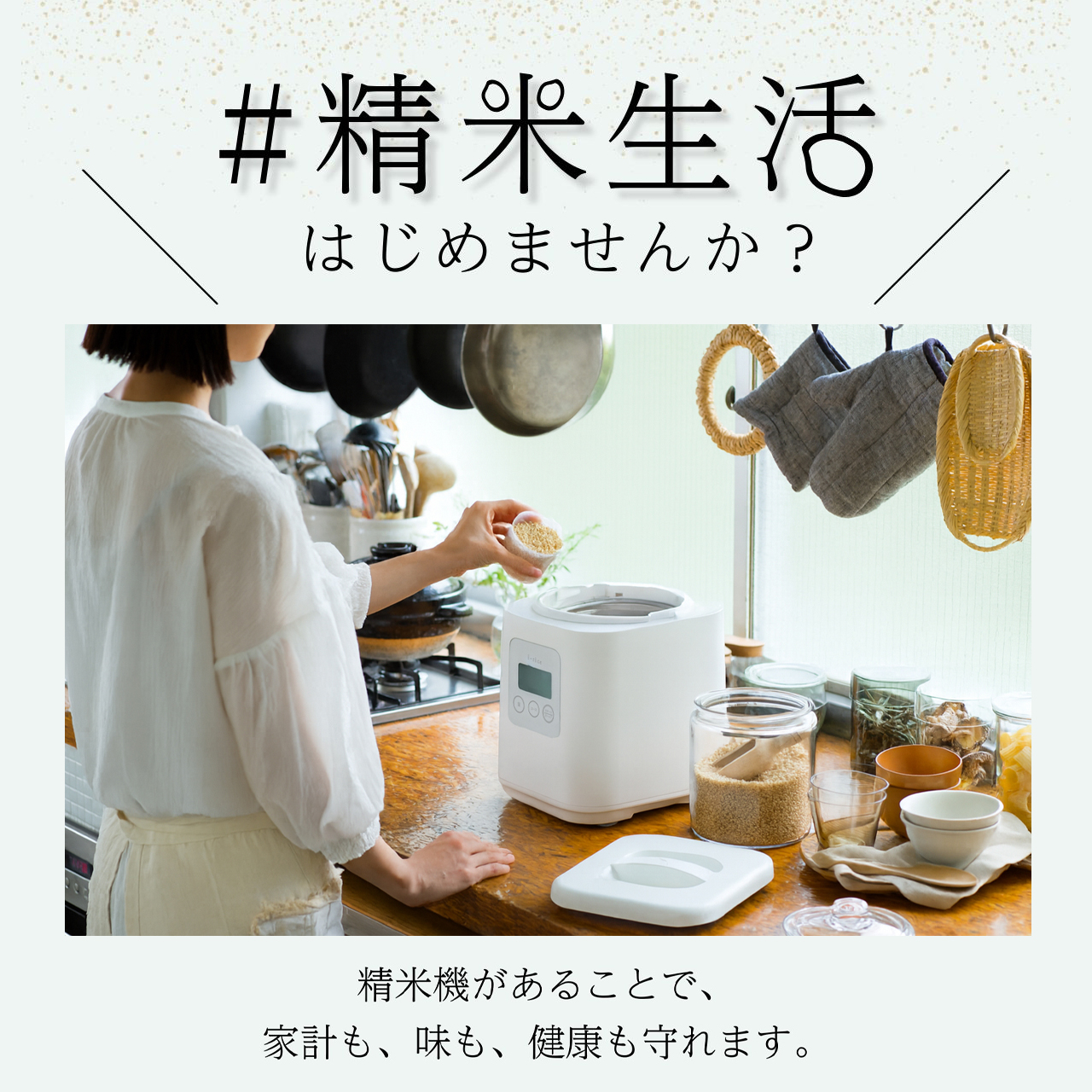 YAMAMOTO 山本電気 家庭用精米機 YAMAMOTO ライスクリーナー i-rice