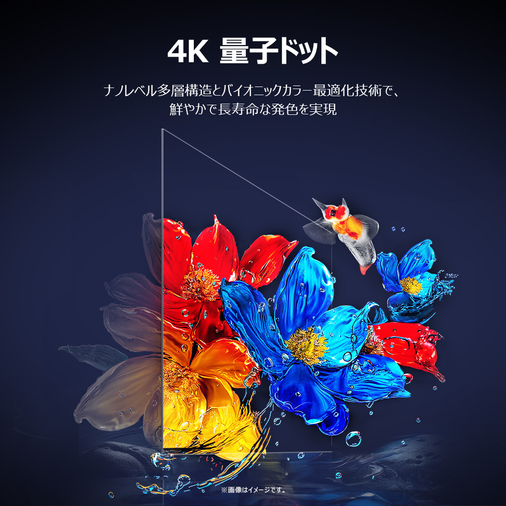 TCL 55P8K 55V型 4K液晶テレビ 量子ドット GoogleTV搭載 P8Kシリーズ