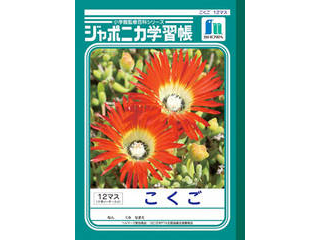 商品コード 4901772010906