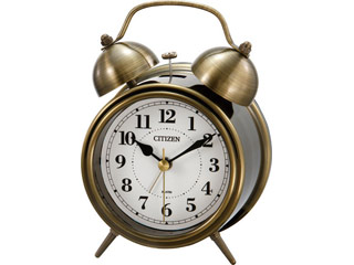�y�����z8RAA06-063 �y�c�C���x��RA06-063�z�ɂ��Ă̊��z�E�]���E���R�~�i�N�`�R�~�j�����L�����������B