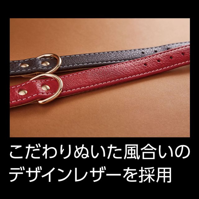 p Porta NVbN\tgU[J[ 21mm uE