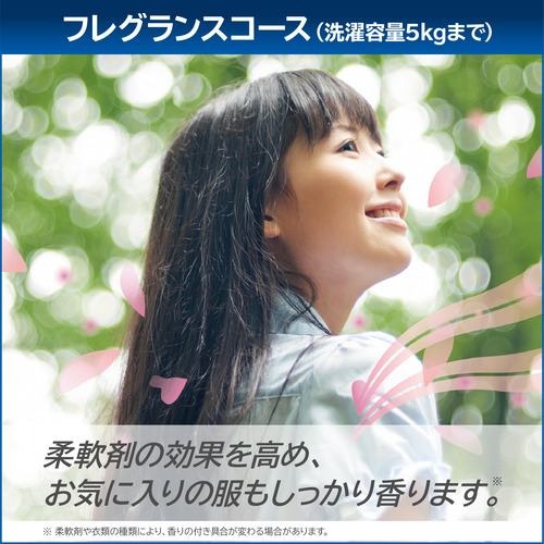 TOSHIBA 東芝 【東京・神奈川・千葉・埼玉限定】AW-9DH4-W