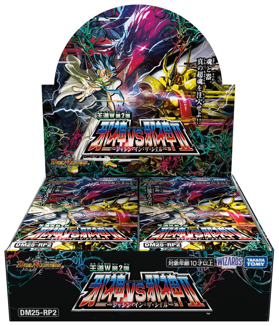 DM25-RP2 fGE}X^[YTCG W 2e א_vsא_II `WVECEUEVF`(BOX)