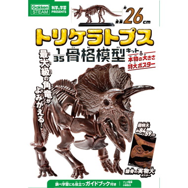 数量限定 トリケラトプス骨格模型&ポスター