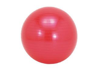 SO-BAL55 エクササイズボール (レッド) 【55cm】