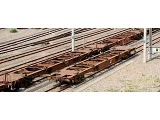 10-1317@RL50000(O[)Reiύ 11Zbg