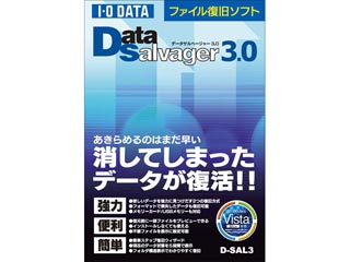 D-SAL3 �t�@�C�������\�t�g DataSalvager 3.0�ɂ��Ă̊��z�E�]���E���R�~�i�N�`�R�~�j�����L�����������B