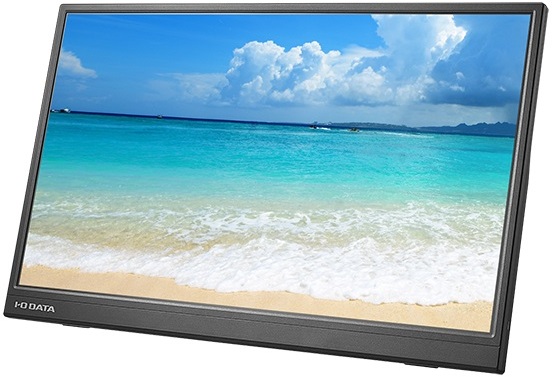 AASパネル採用 フルHD対応 17.3型モバイルディスプレイ LCD-YC172AX ブラック