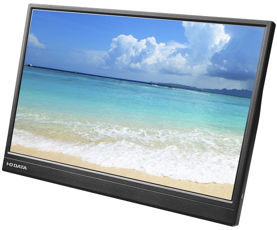 �t��HD�Ή� 14�^���o�C���f�B�X�v���C/HDMI(�~�j)�AType-C(DisplayPort Alt Mode)/�u���b�N LCD-YC141DX