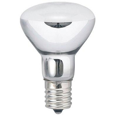 R451740�y40W�z�~�j���t�� E17�����ɂ��Ă̊��z�E�]���E���R�~�i�N�`�R�~�j�����L�����������B