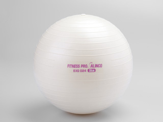 EXG024�@�G�N�T�T�C�Y�{�[���R�O�����i�z���C�g�j�ɂ��Ă̊��z�E�]���E���R�~�i�N�`�R�~�j�����L�����������B