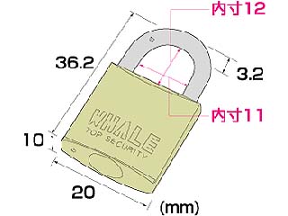 SLE-2L-6�ɂ��Ă̊��z�E�]���E���R�~�i�N�`�R�~�j�����L�����������B
