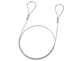 SLE-1W-1 e�Z�L�����e�B�p���C���[�ɂ��Ă̊��z�E�]���E���R�~�i�N�`�R�~�j�����L�����������B