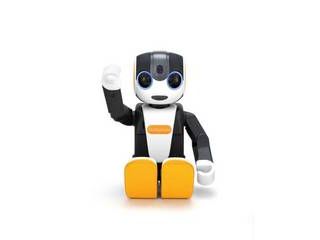 RoBoHoN ロボホン Wi-Fi対応モデル（お座りタイプ） SR-05M-Y 