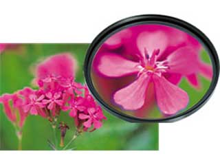 CF-CU252�@MC�N���[�Y�A�b�v�����YNo.2�@�i52mm�j�ɂ��Ă̊��z�E�]���E���R�~�i�N�`�R�~�j�����L�����������B