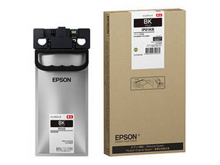 yzrWlXCNWFbg PX-M884Fp CNpbNiubNj/10000y[WΉ IP01KB