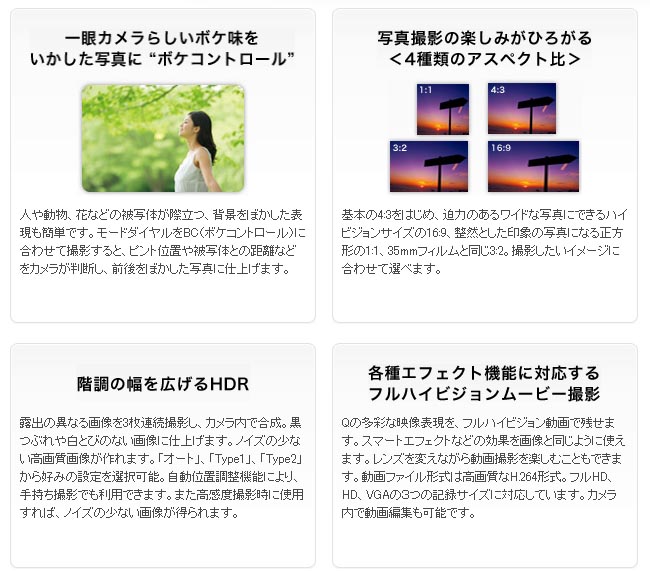 Amazon.com : PENTAX Q for optical viewfinder O-VF1 : Camera