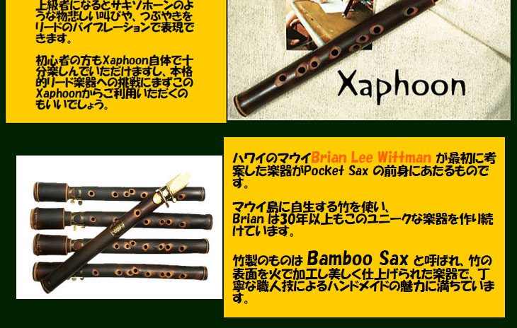 DVD バンブーサックス Xaphoon Bamboo SAX C ザッフーン 竹 どこでも演奏-