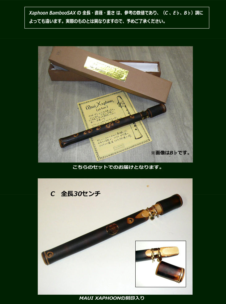 DVD バンブーサックス Xaphoon Bamboo SAX C ザッフーン 竹 どこでも演奏-