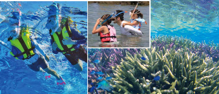 AQA エーキューエー KW4504A-5813 キッズスーツ スプリングII 【130