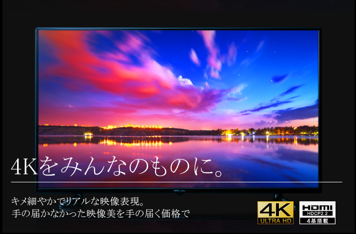 DME-4K50D 50インチ 4Kディスプレイ 【 ムラウチドットコム 】