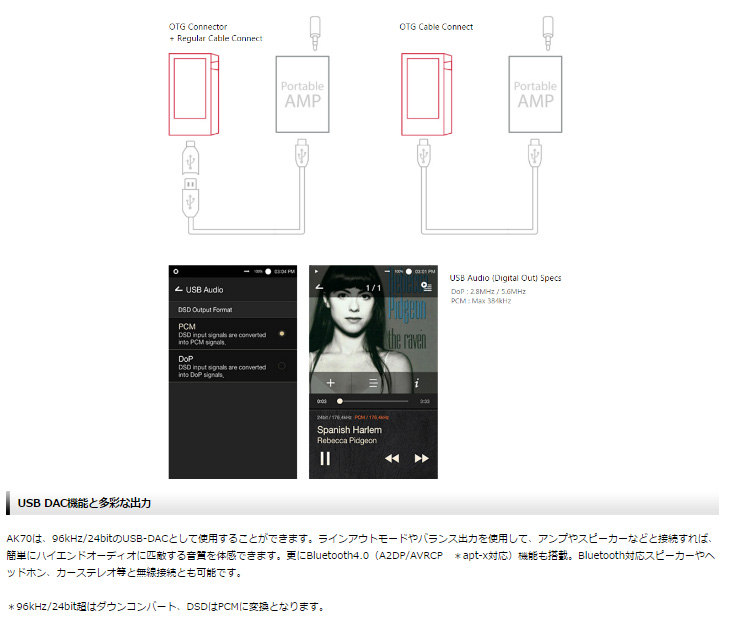 AK70-64GB-PNK-J（トワイライトローズ） Astell&Kern AK70 Twilight