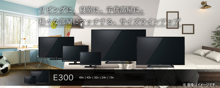 Panasonic/パナソニック TH-43E300 VIERA/ビエラ 43V型液晶テレビ