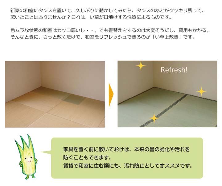 純国産 い草 上敷き カーペット 双目織 松 六一間8畳(約370×370cm